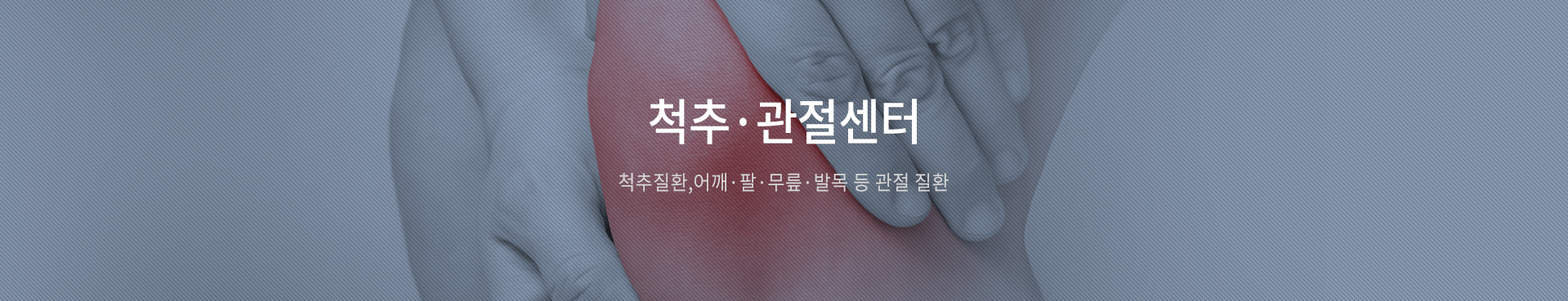 척추,관절센터 이미지